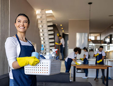 professional cleaning